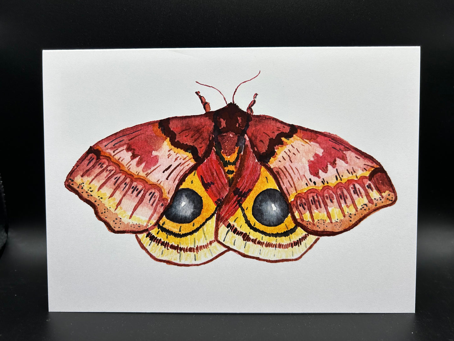 Io Moth - Watercolor Card
