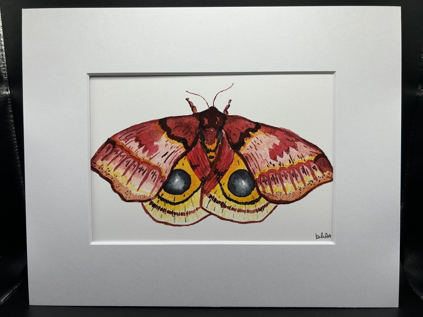 Io Moth - Watercolor Small Print