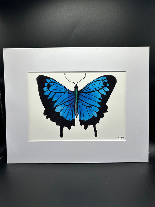 Blue Butterfly - Watercolor Small Print