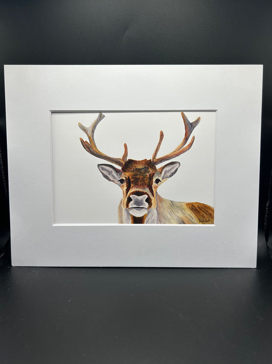 Reindeer - Watercolor Large Print